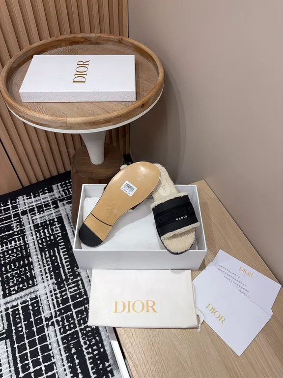 Dior Shoe 